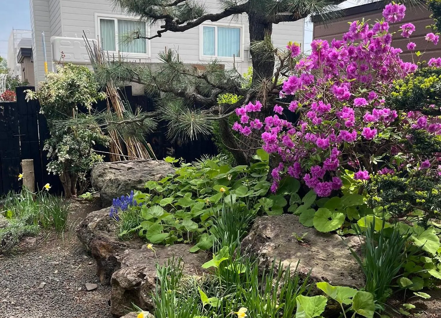 Bed & Breakfast 民泊 B&B Yoshida Sapporo Japan
